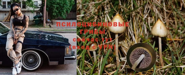 дмт Нефтекумск