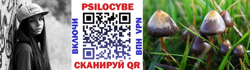 закладки  МЕГА   Псилоцибиновые грибы Psilocybine cubensis  Питкяранта 